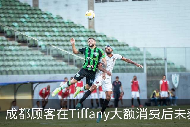 成都顾客在Tiffany大额消费后未获应得月饼，事件引发广泛关注